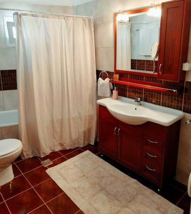 Evaggelia'S Apartments 5 Οικογενειακό Διαμέρισμα Kozani Esterno foto